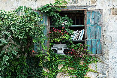 美少女游戏老厂ALcot宣布解散 最终作《Clover Memory's》众筹